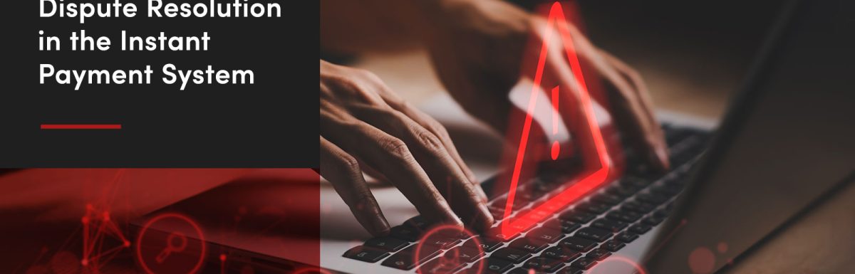 Fraud Detection And Dispute Resolution In The Instant Payment System
